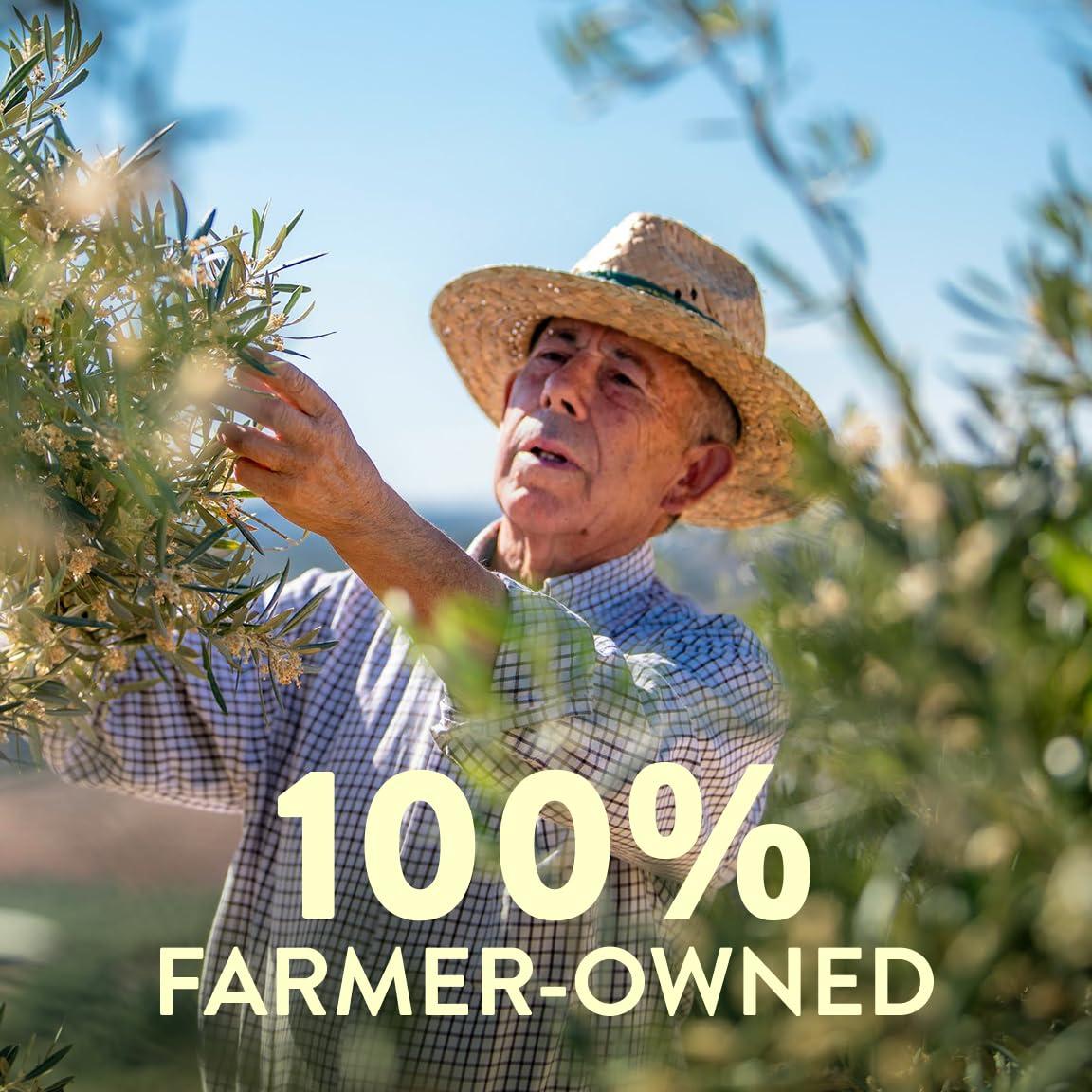 image:imagePompeian USDA Organic Smooth Extra Virgin Olive Oil Contains Polyphenols First Cold Pressed 68 Fl OzOrganic Smooth Extra Virgin Olive Oil